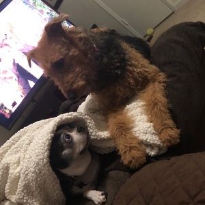 Meet your Posher, Lindsey